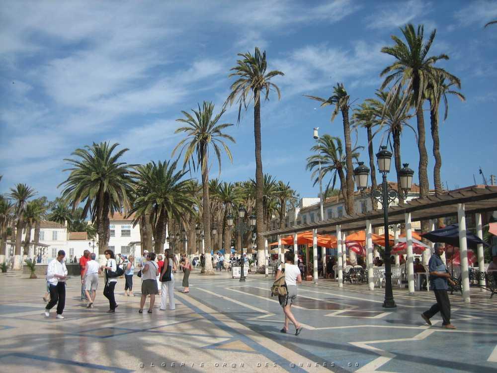 ARZEW 2008 1.jpg